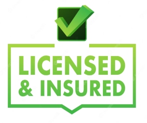 licensed and insured electrician